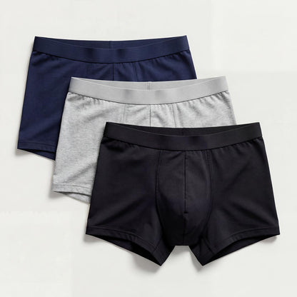 Lot de 3 boxers homme en fibre de bambou, trois couleurs assorties, sous-vêtement incontinence lavable pour fuites urinaires